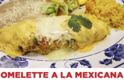 SJ-Omelet-Mexicana