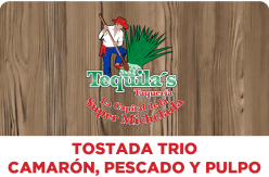Product-Tostada-Trio